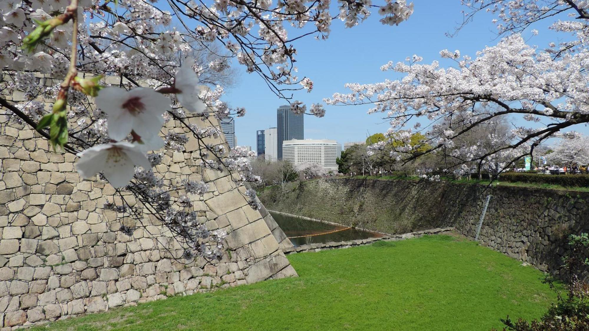 Hotel New Otani Ōsaka Eksteriør bilde Sakura at the castle